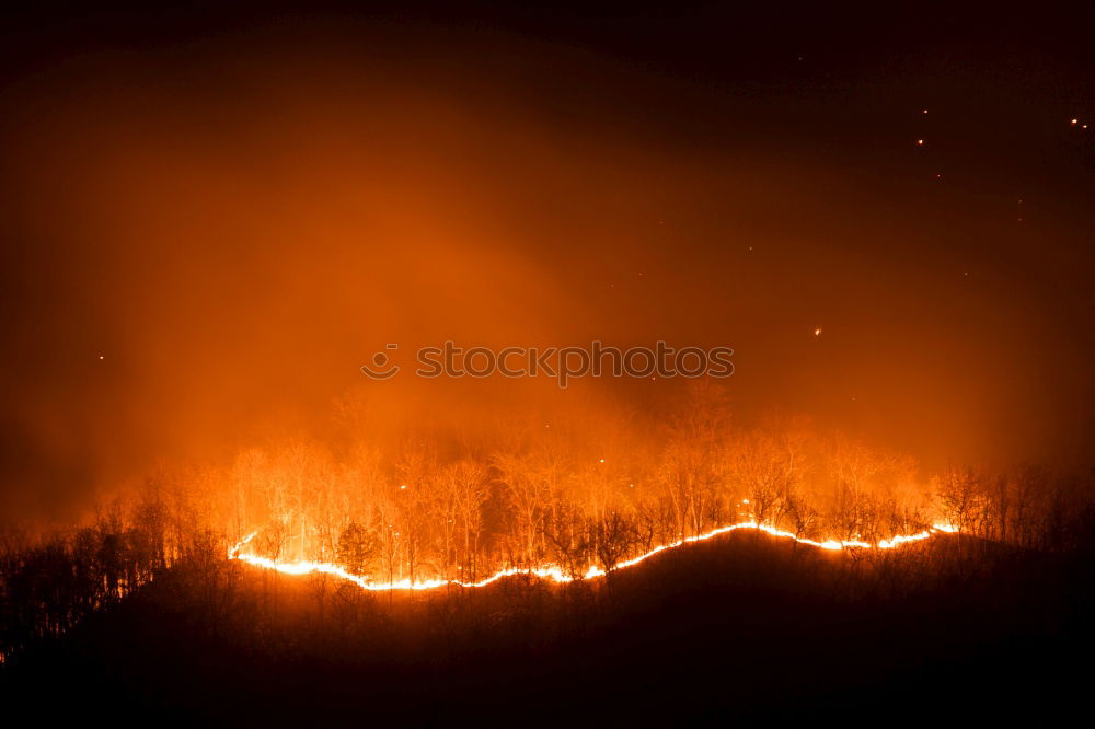 Image, Stock Photo Forest fire