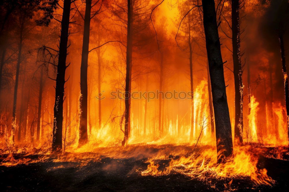 Similar – Image, Stock Photo Forest fire Agriculture