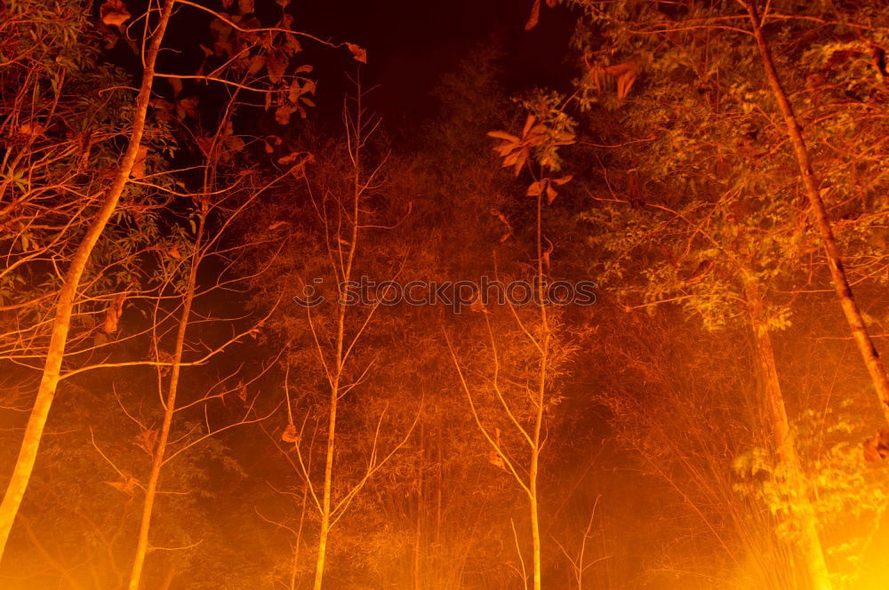 Similar – Image, Stock Photo Forest fire Agriculture