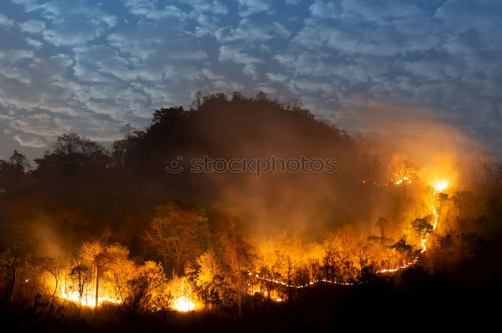 Similar – Image, Stock Photo Forest fire Agriculture