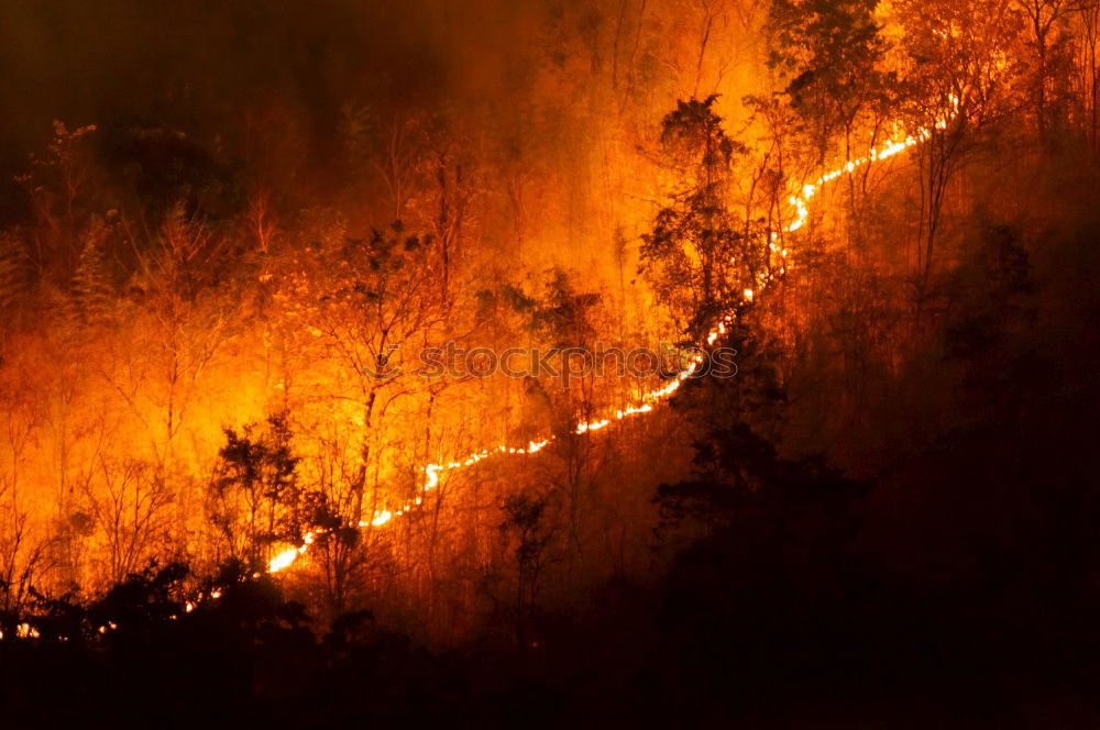 Similar – Image, Stock Photo Forest fire Agriculture