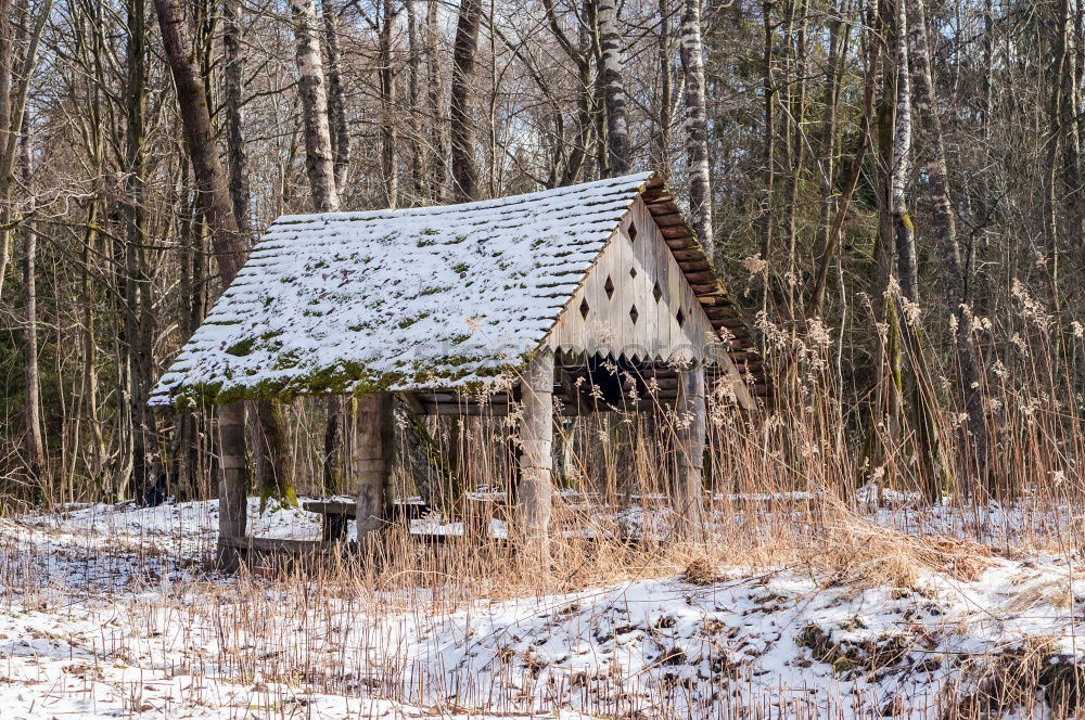 Similar – Cabin House Sweden