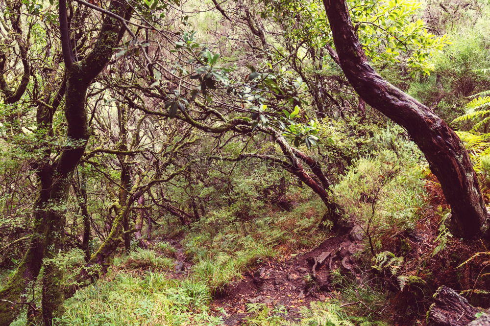 Similar – forest bench Well-being