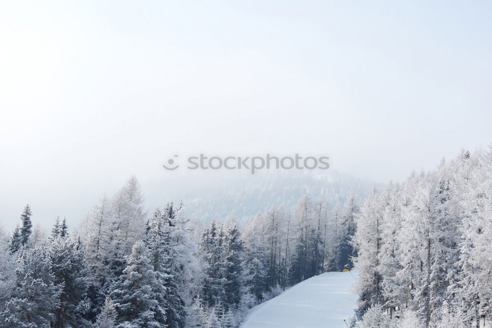 Similar – Image, Stock Photo Tourist with bike in mountains