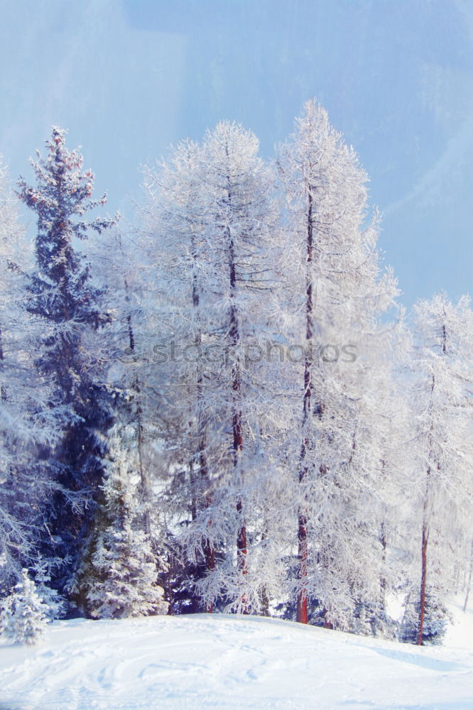 Similar – winterwonderland Winter