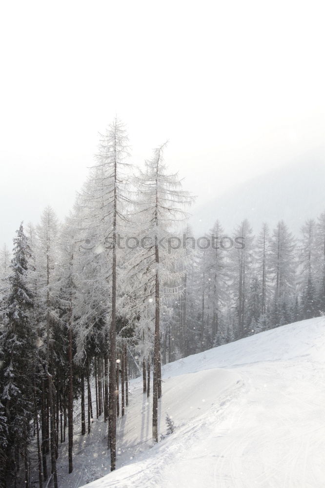 Similar – Schneeberg Winter