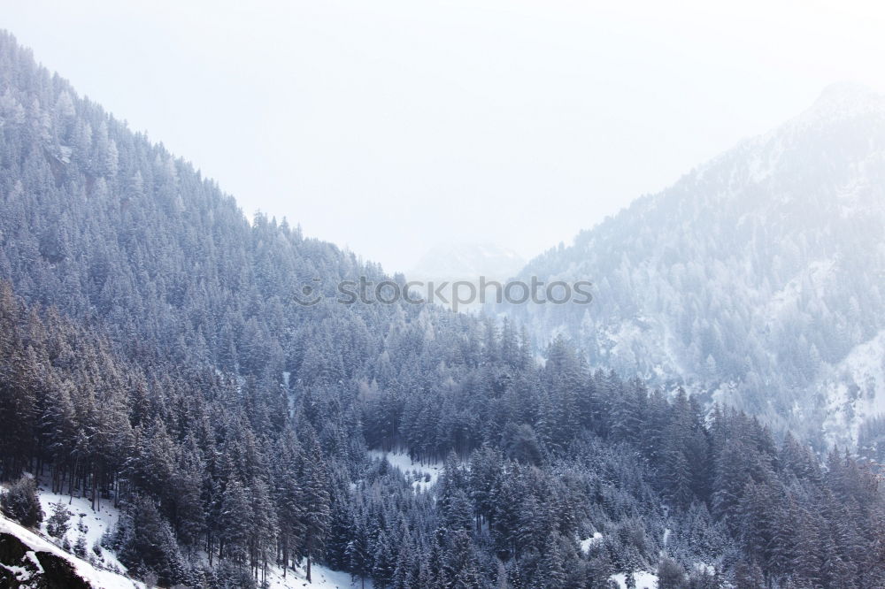 Similar – Image, Stock Photo Red car driving in mountains