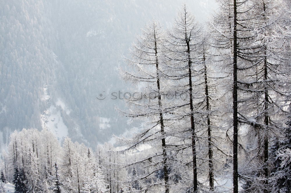 Similar – Image, Stock Photo hut magic Landscape Sky