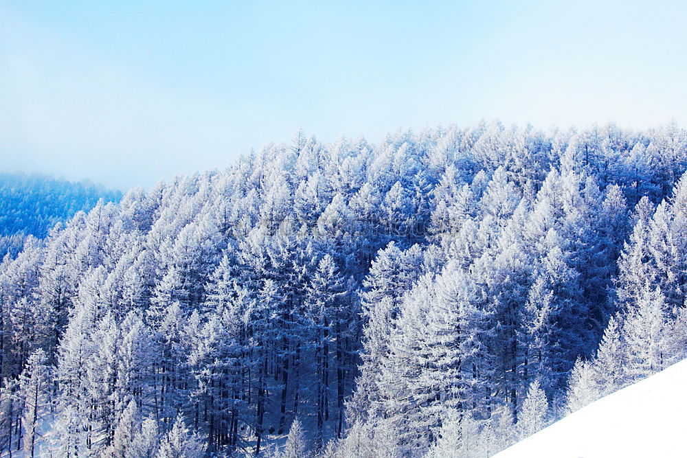 Similar – View from the Unterberg to the foothills of the Alps