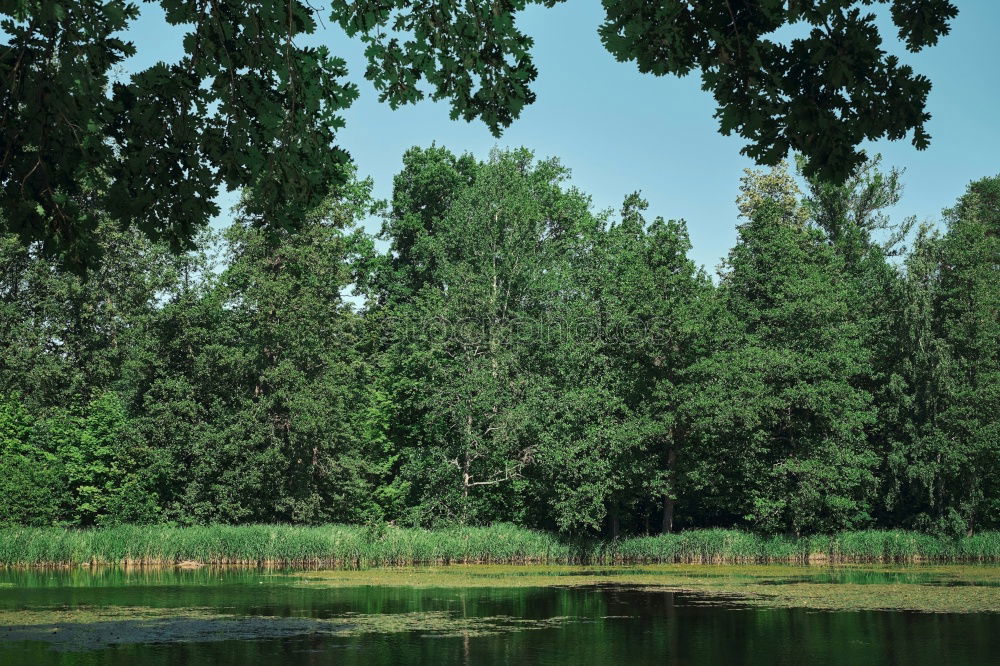 Similar – Seelenruhe Wolken Wald