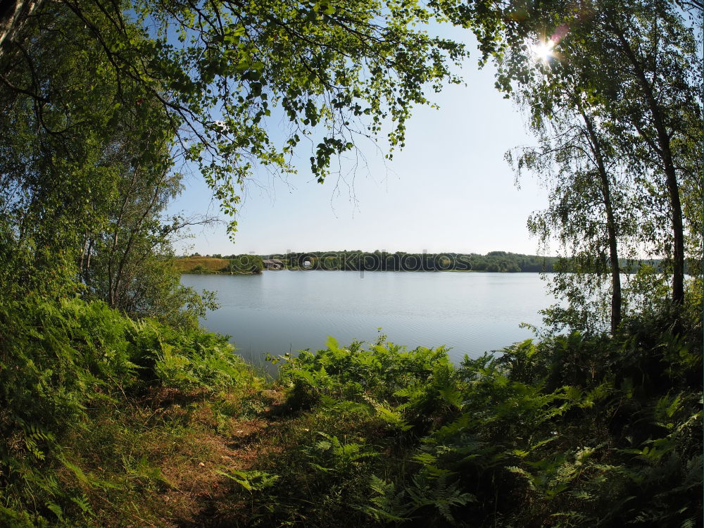 Similar – Seelenruhe Wolken Wald