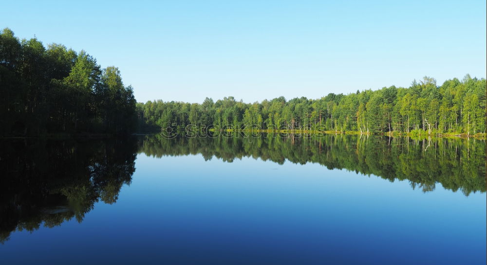 Similar – reflection Tree Wood