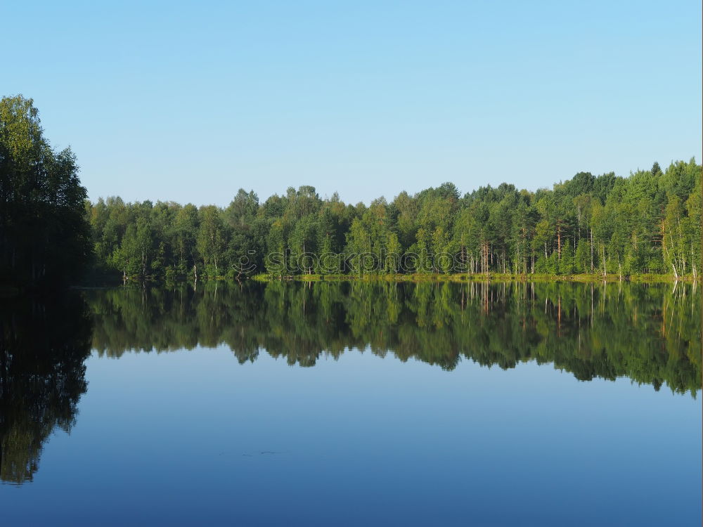 Similar – Still Water Lake Tree