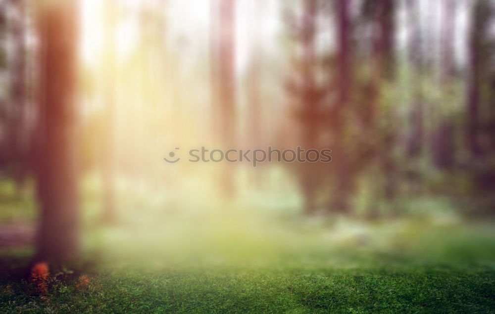 Similar – Autumn day in the Allgäu