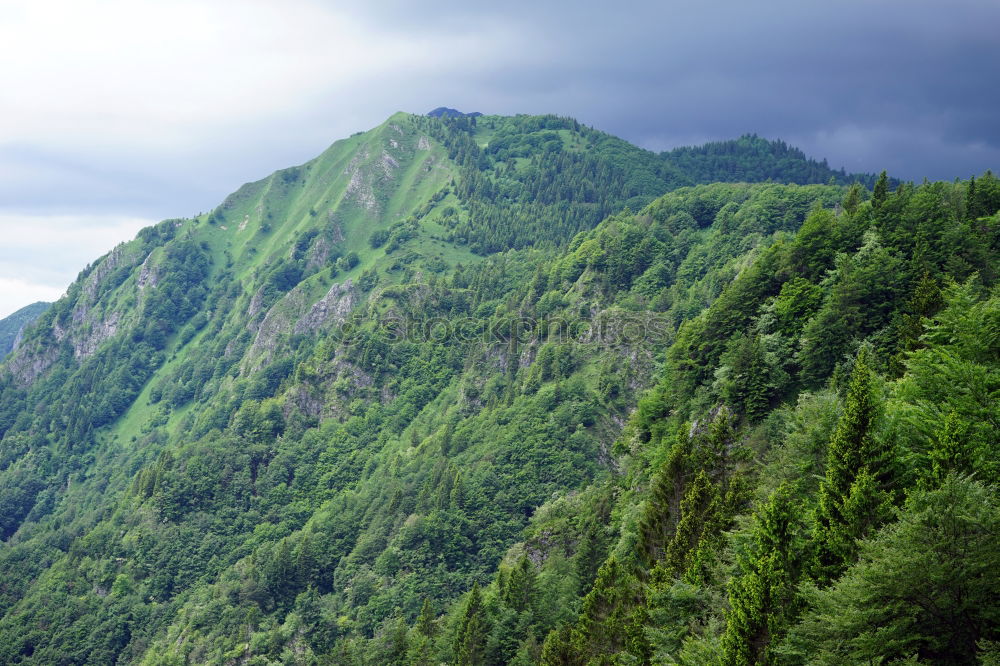 Similar – Ella rock, Sri Lanka Tea