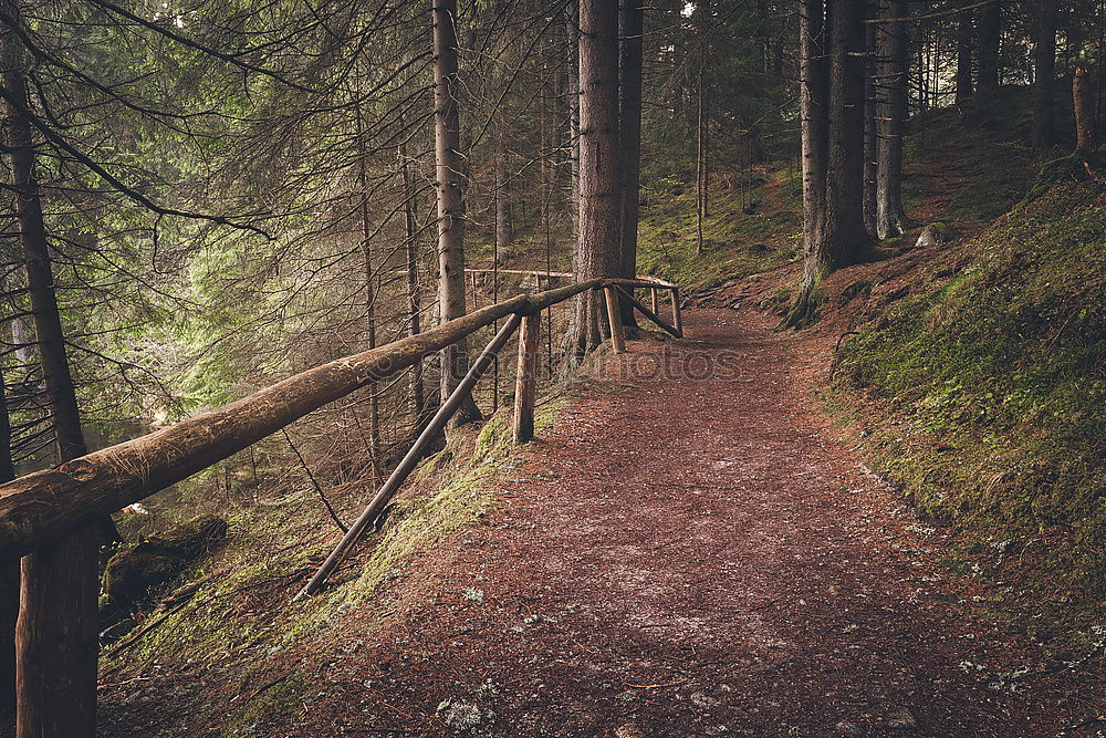 Similar – Image, Stock Photo Wooden walkway in gorge