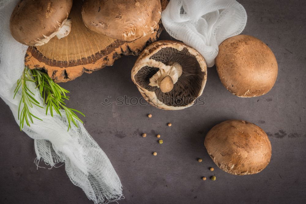 Similar – Image, Stock Photo cookies made from oat flakes