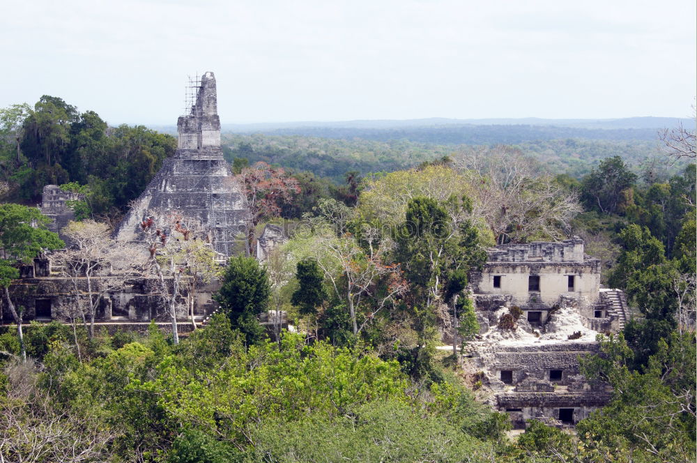 Similar – Image, Stock Photo Palenque, Mexico