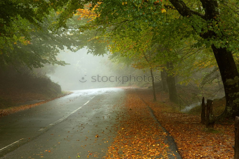 Similar – Foto Bild An der Saale Baum Wiese