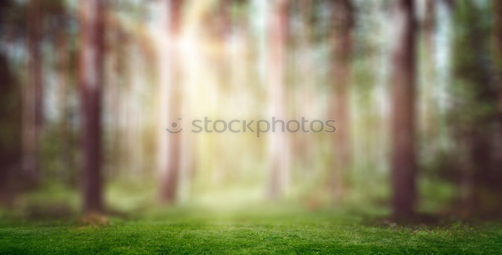 Similar – Image, Stock Photo hansguckindieluft