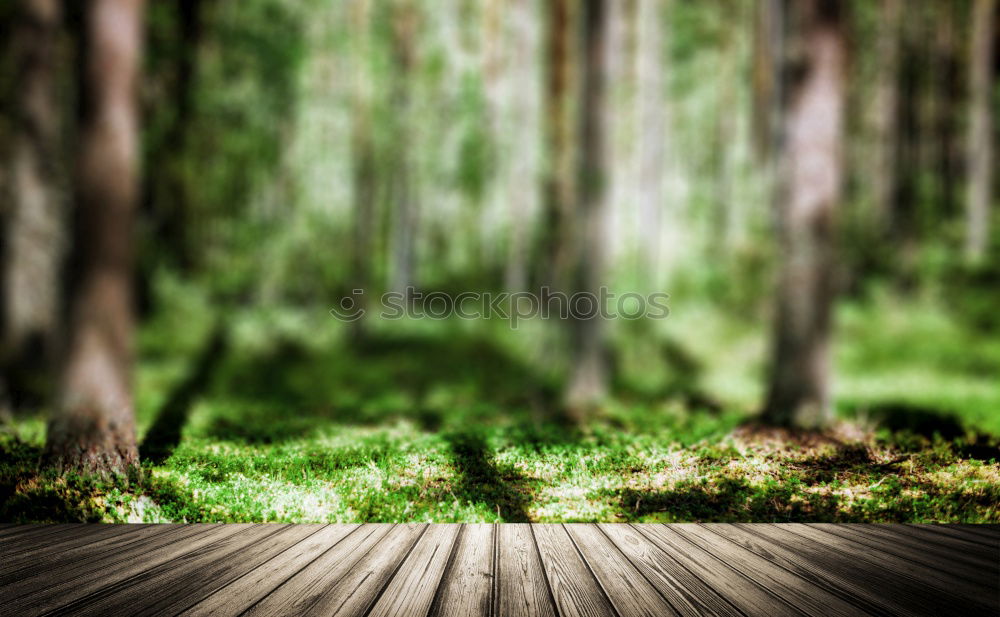 Similar – Image, Stock Photo 151455 Environment Nature