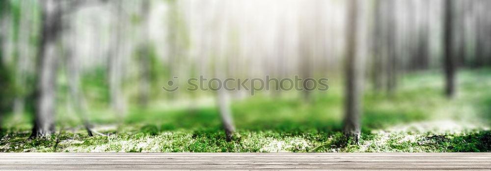 Similar – Image, Stock Photo hansguckindieluft