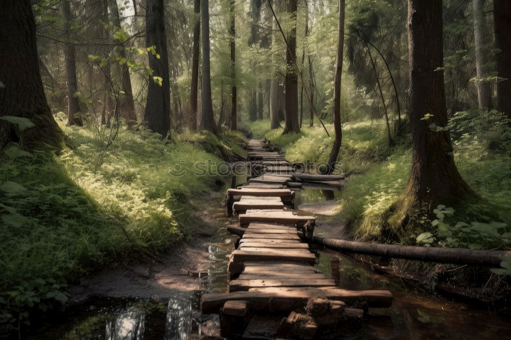 Similar – Image, Stock Photo The stony paths Hiking