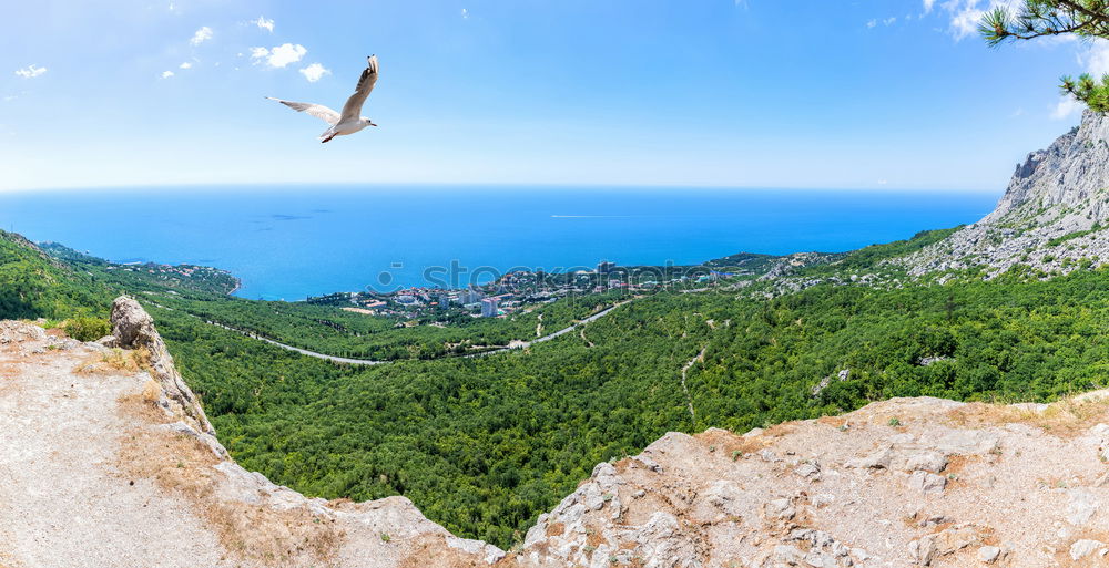 Similar – Nature panorama with a view of the Mediterranean Sea, a winding road and the ruins of Paleokastritsa Castle | Paleokastritsa