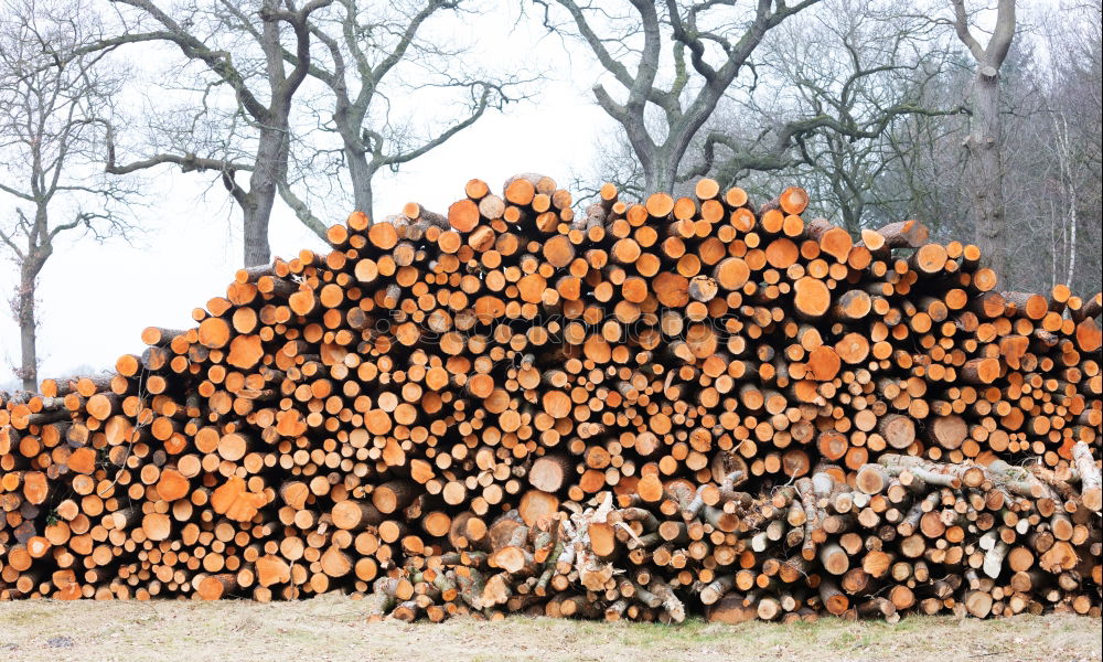 Similar – Foto Bild Holz scheit Brennholz