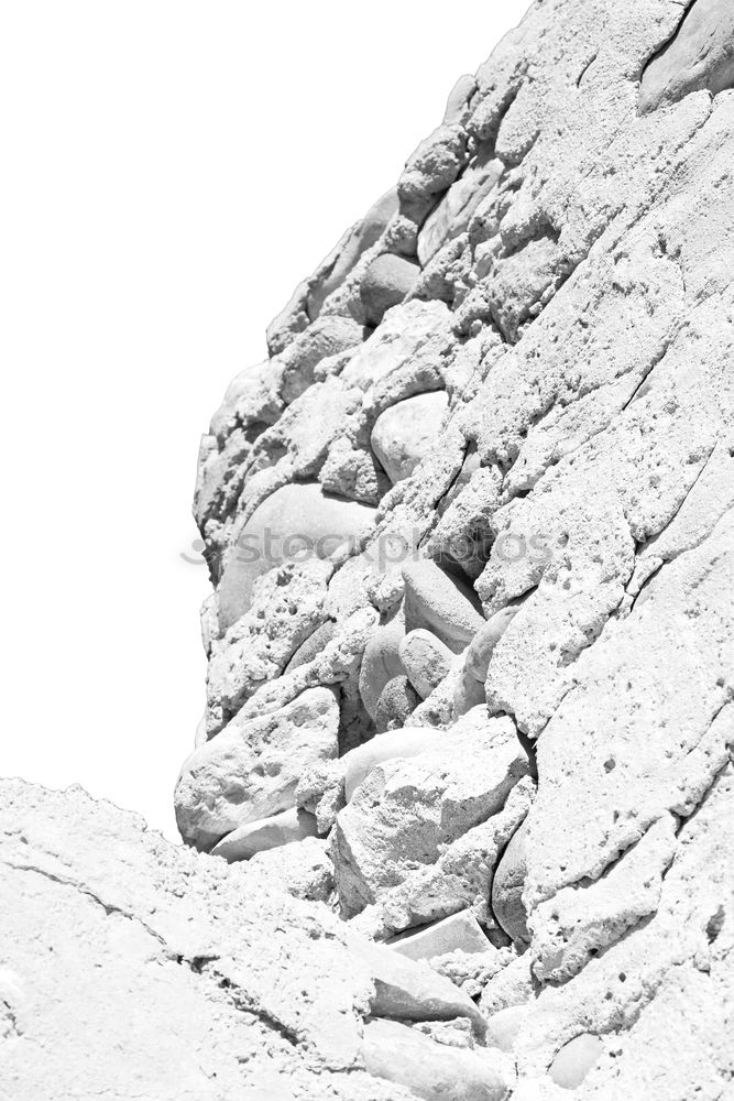 Similar – Image, Stock Photo Roe deer jumping on mountains
