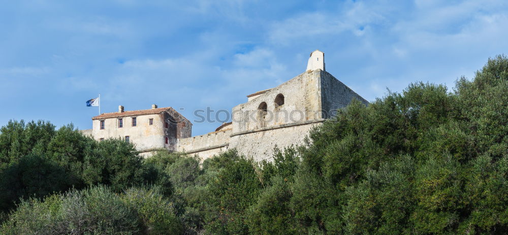 Similar – Image, Stock Photo cementerio Cloudless sky