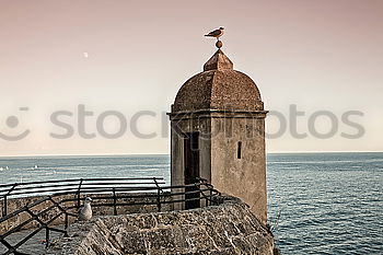 Similar – Image, Stock Photo Minaret of the mosque in Alt-Jaffa