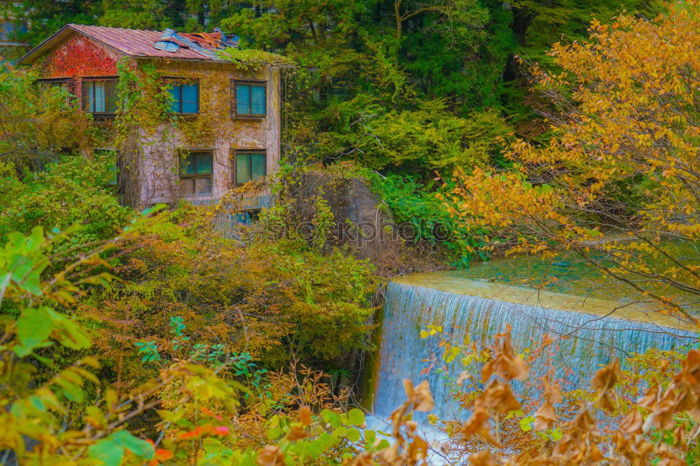 Similar – Image, Stock Photo duck castle Landscape
