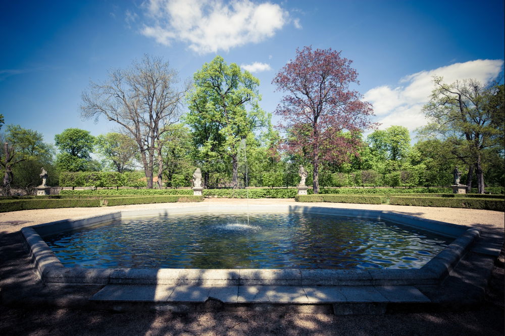 Similar – Image, Stock Photo shaving seat Spa gardens