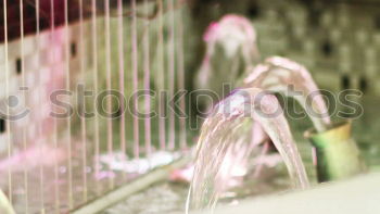 Similar – Image, Stock Photo flower blouse Woman