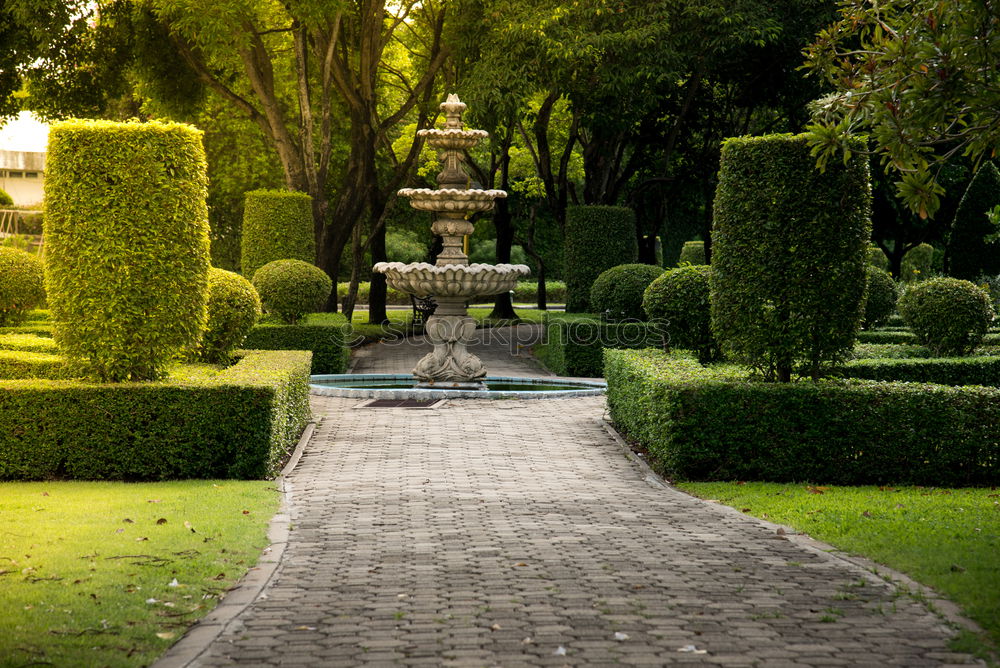 Similar – Image, Stock Photo fizzy Work of art