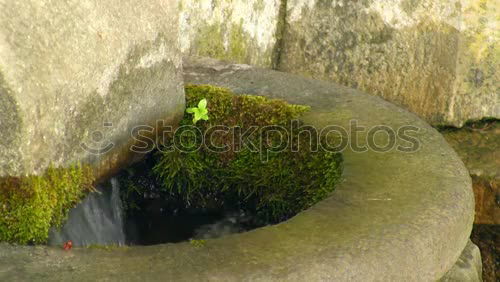 Similar – Spiegelung Mauer