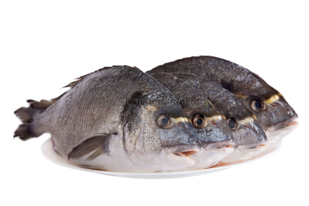 Similar – Image, Stock Photo Fish is´ all, baby! Food