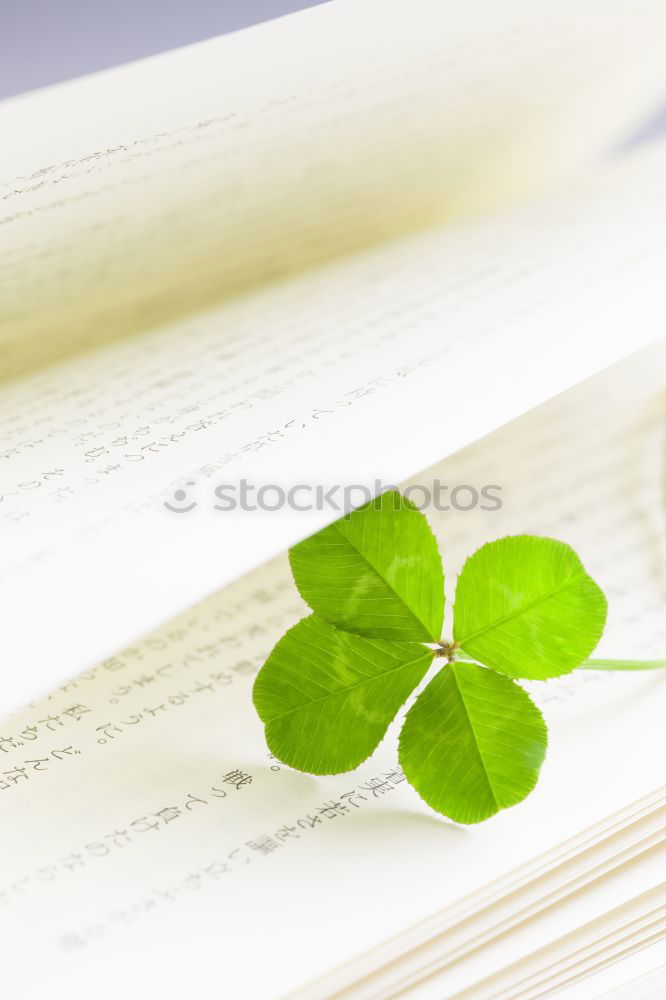 Similar – Image, Stock Photo shamrock Harmonious