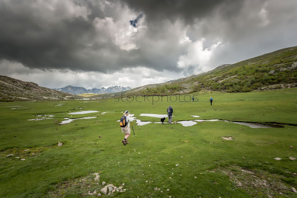 Similar – Image, Stock Photo Iceland Environment Nature