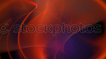 Similar – Image, Stock Photo morning lily Flower