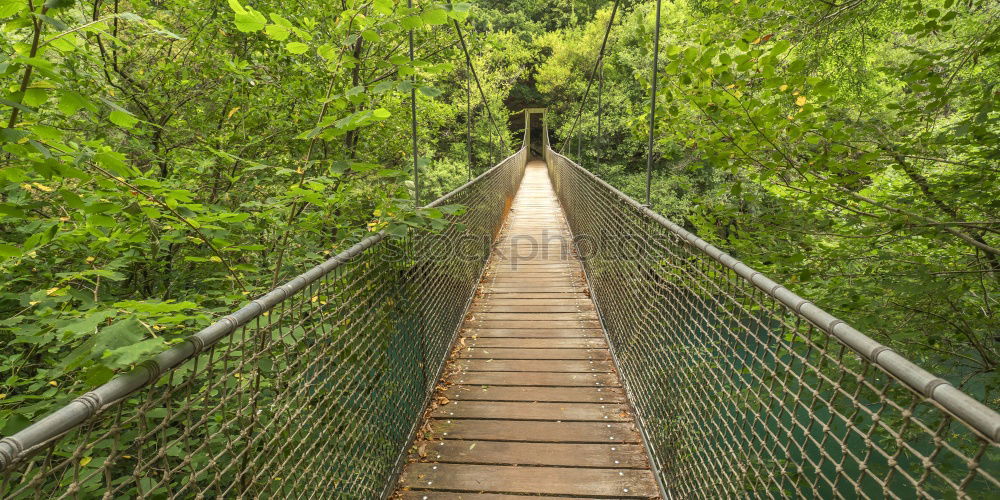 Similar – Hängebrücke zwischen zwei grossen Bäumen, Amazonasbecken, Peru, Südamerika