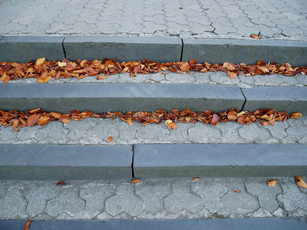 Similar – stairs Stride Autumn