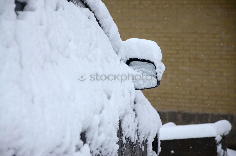 Similar – Image, Stock Photo bye-bye, daisy! Face Eyes