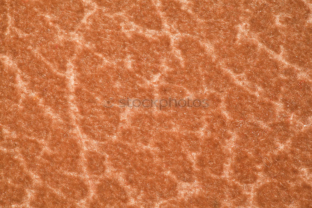 Similar – Image, Stock Photo in oman rub al khali old desert and the