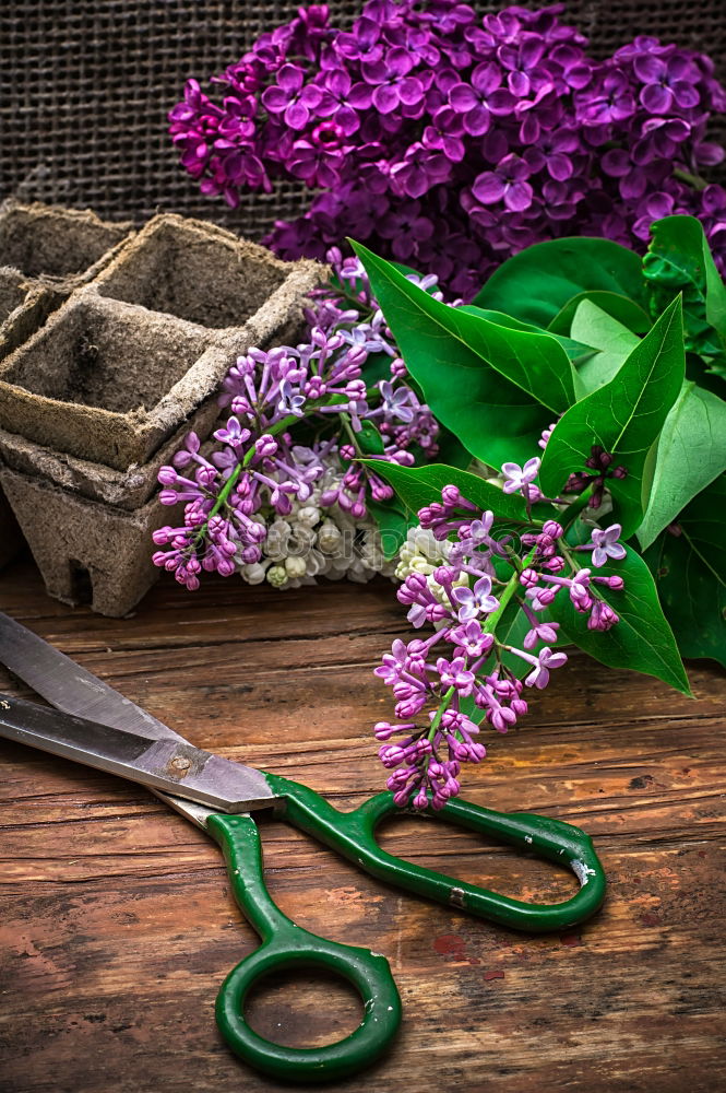 Gift and bouquet of lilacs on a wooden table