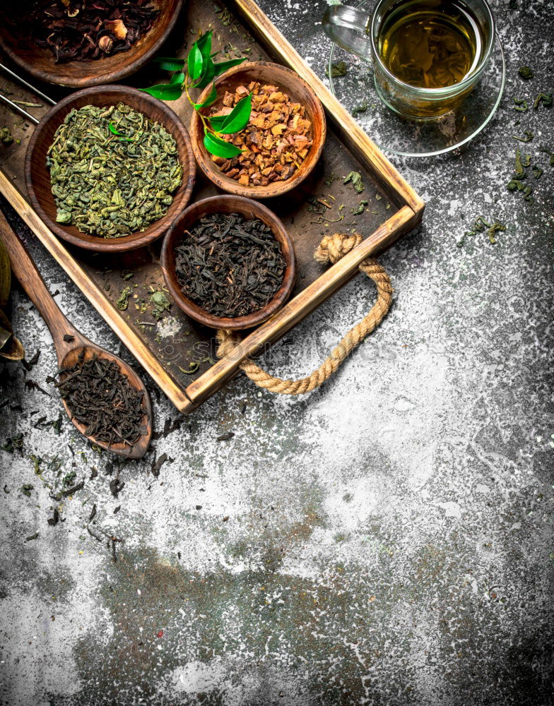 Similar – Image, Stock Photo Green Kale Pesto Ingredients in Mixer