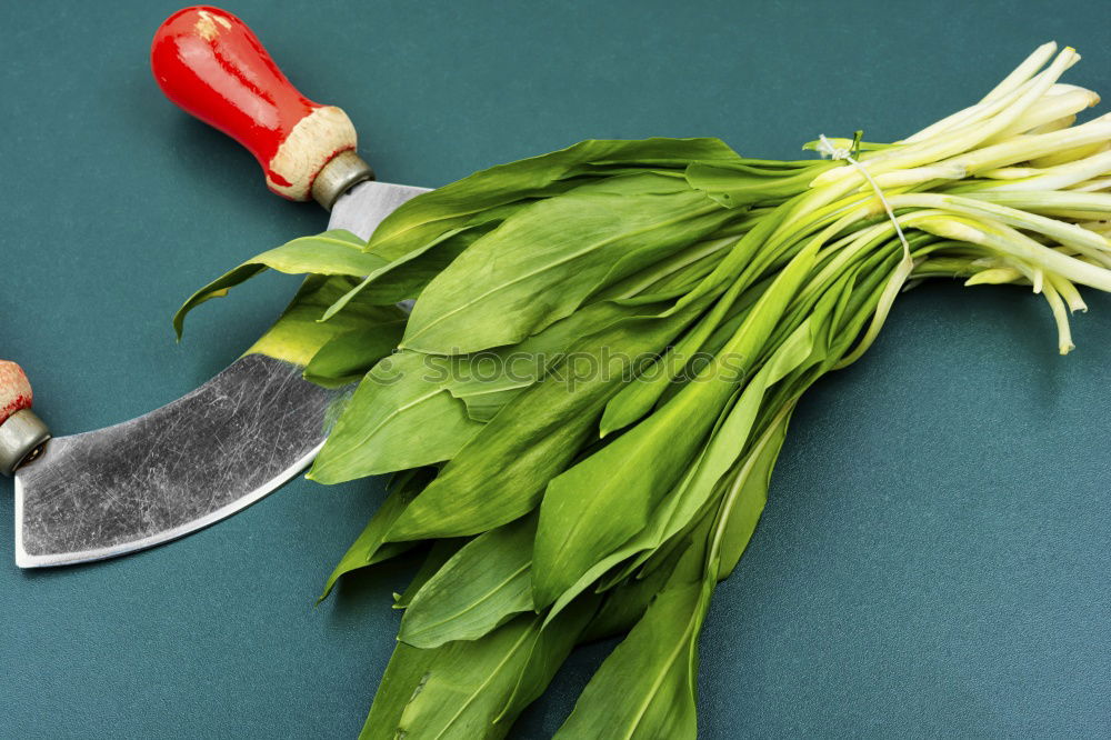Similar – Image, Stock Photo young garlic tied in a bundle