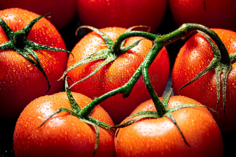 Similar – Fresh tomatoes Vegetable