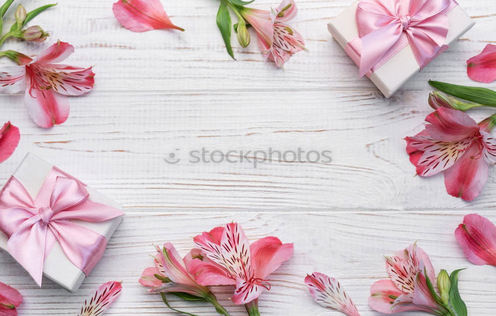 Similar – Weibliche Hände halten schöne große rosa Lilie Blumen